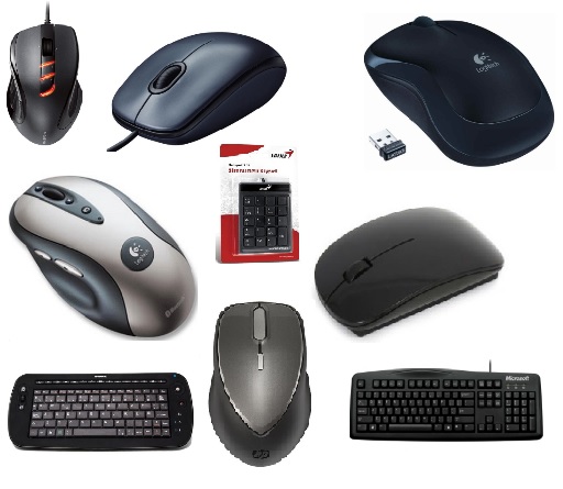 Teclados y Ratones